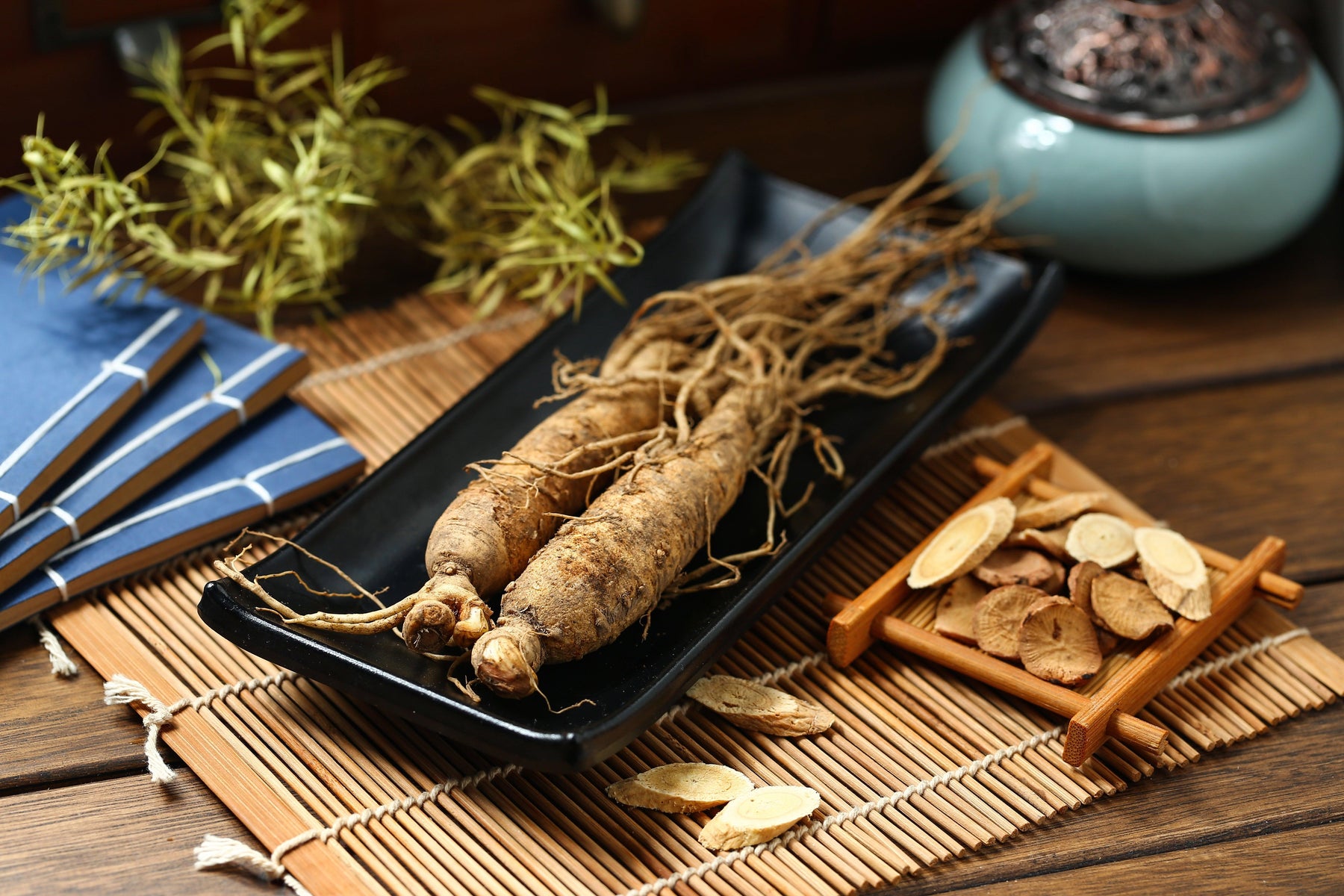 Discover the Art of Planting American Ginseng Seeds - Dairyland Ginseng