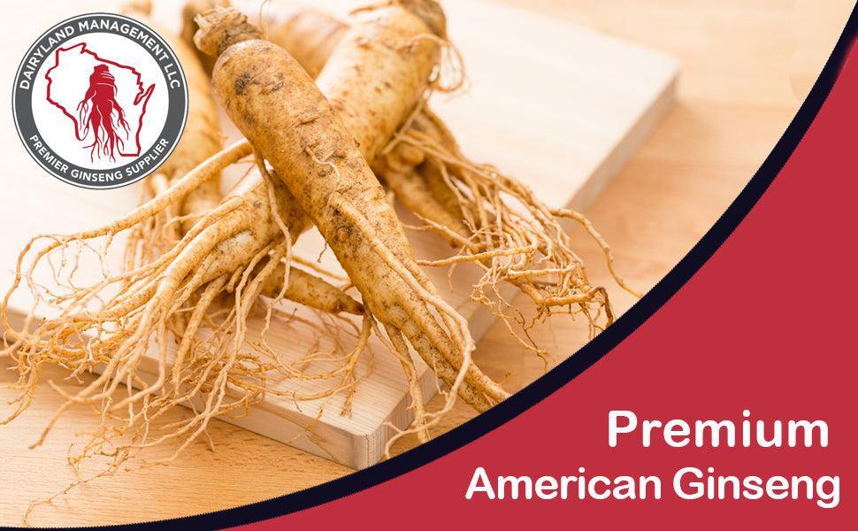 Dairyland Ginseng, Premium American Ginseng