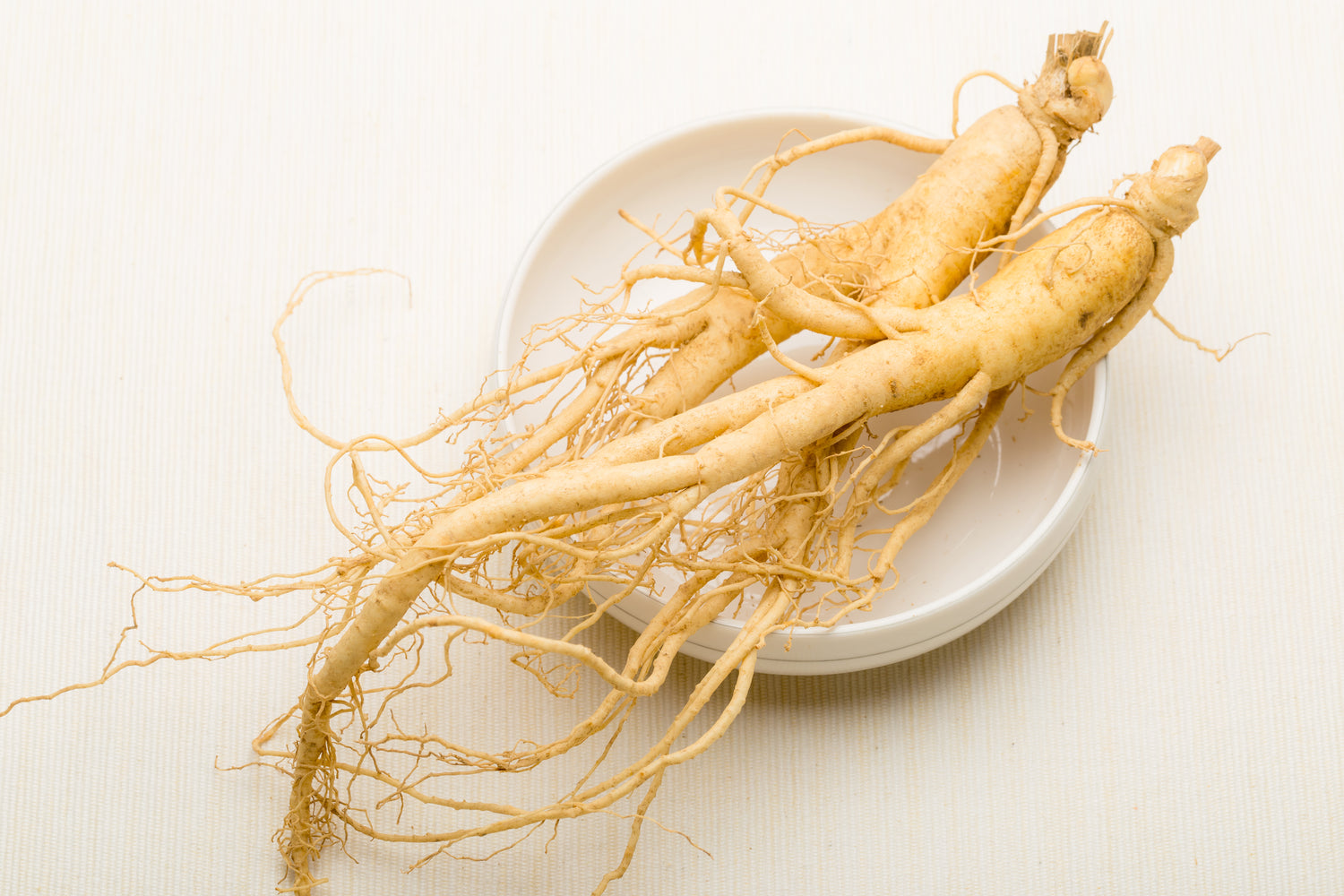 Why Choose Wisconsin Ginseng?