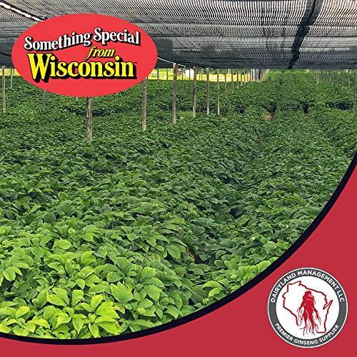 Wisconsin American Ginseng Powder - Dairyland Ginseng