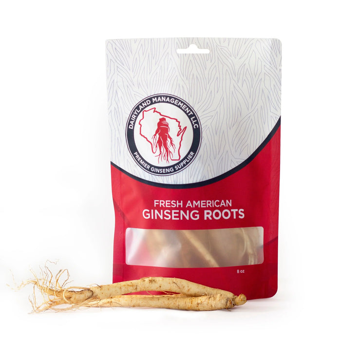 Fresh Wisconsin American Ginseng Roots - Dairyland Ginseng