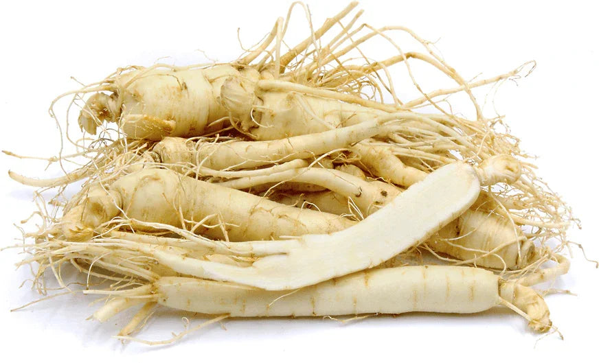 Fresh Wisconsin American Ginseng Roots - Dairyland Ginseng