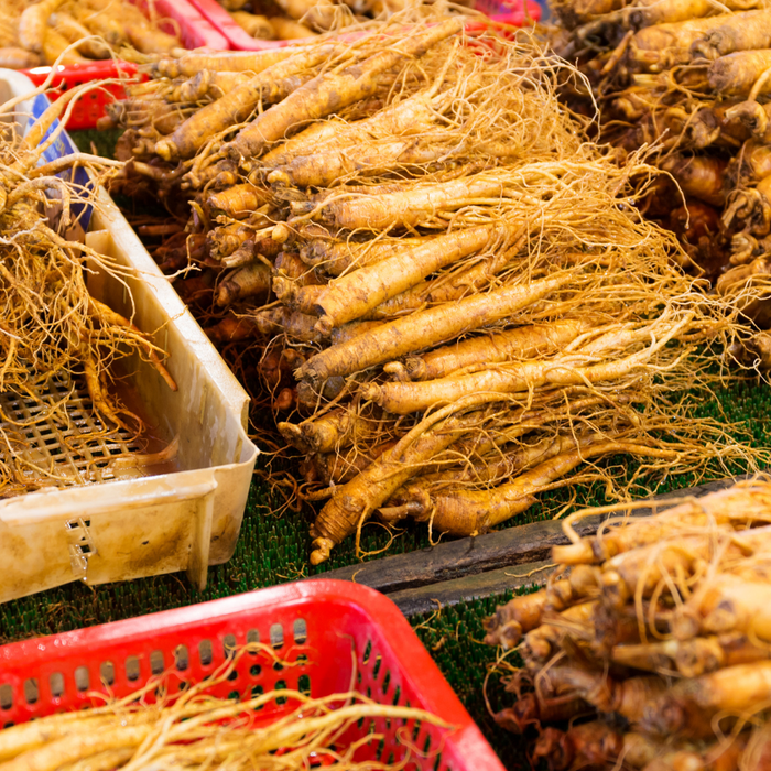 The History and Traditions of American Ginseng