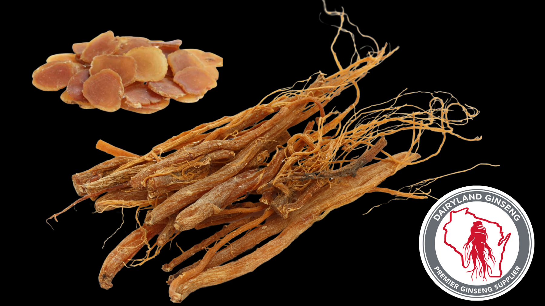 Boost Energy & Focus with Dairyland's Korean Panax Ginseng Products