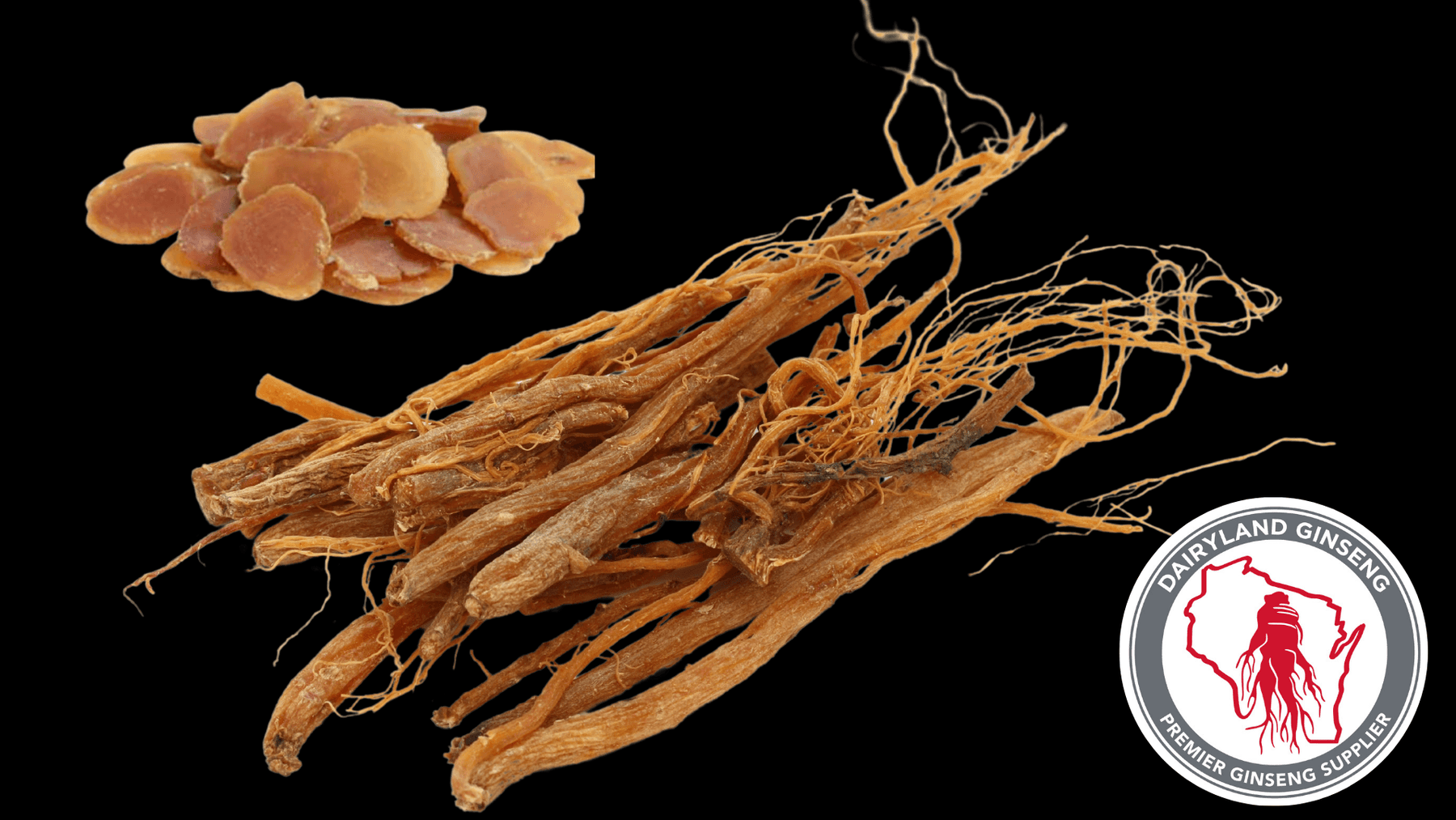 Wisconsin ginseng roots and natural non-GMO American ginseng slices on black background