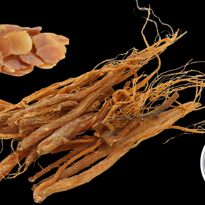 Boost Energy & Focus with Dairyland's Korean Panax Ginseng Products