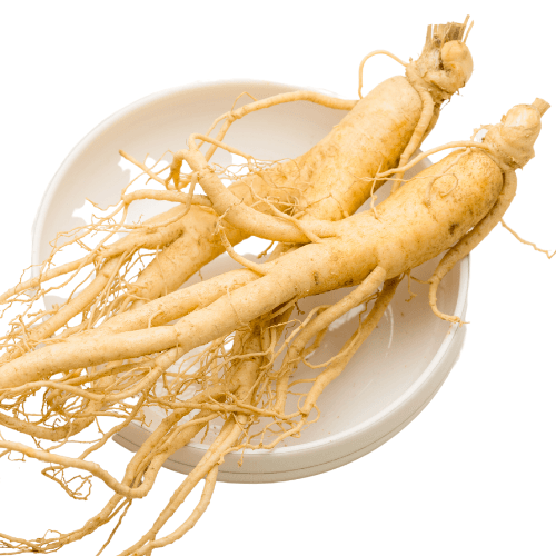 Fresh Wisconsin-grown American ginseng roots with light tan skin, natural and non-GMO, on a white plate