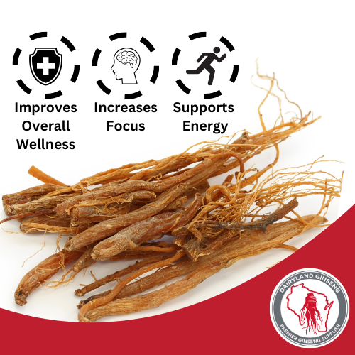 Red Korean Panax Ginseng Extract - Dairyland Ginseng