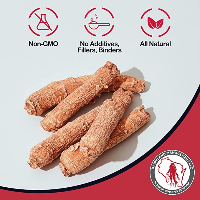 Red Korean Panax Ginseng Roots - Dairyland Ginseng